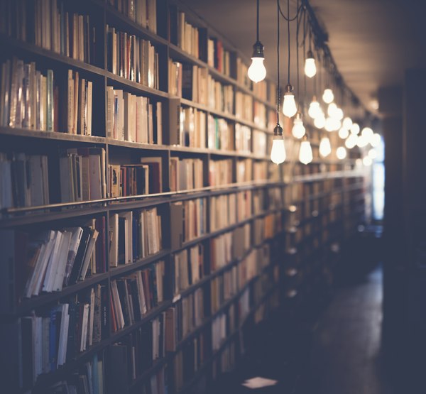 Shelf with antique books