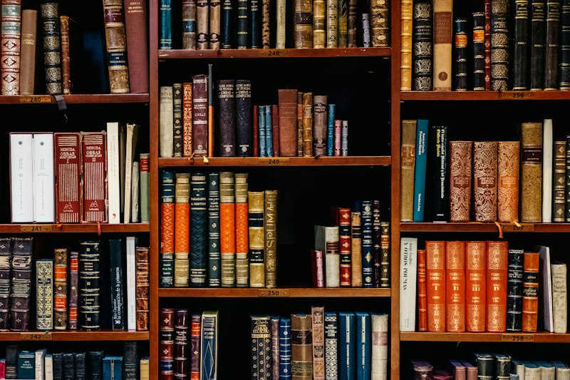 Antique books with gold tooling on a wooden shelf