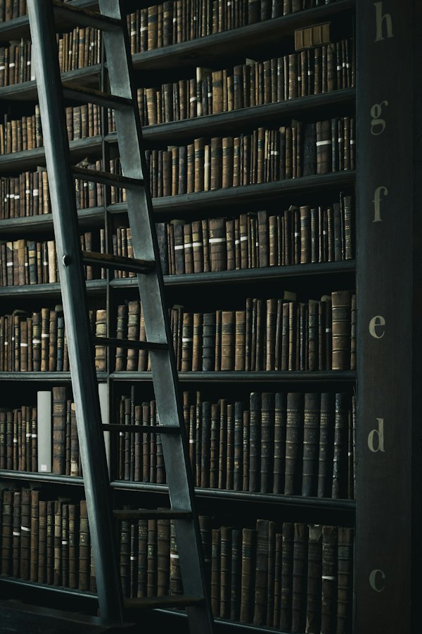 Library shelf with working materials